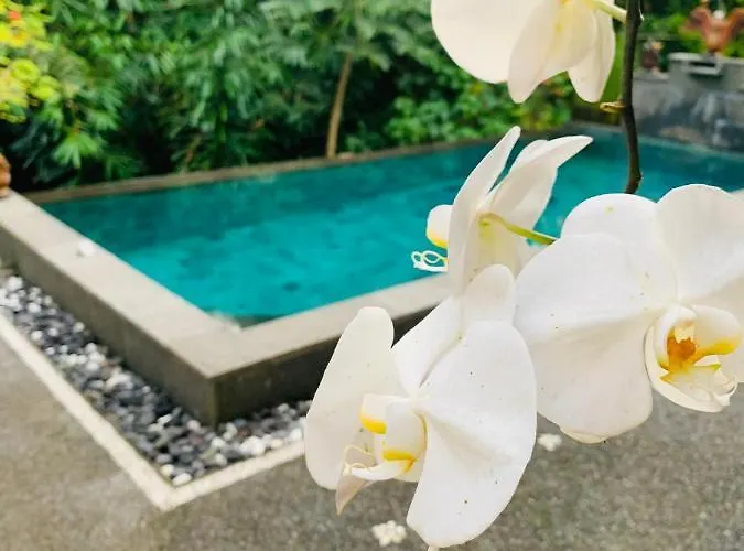 Gek House Bali 4*