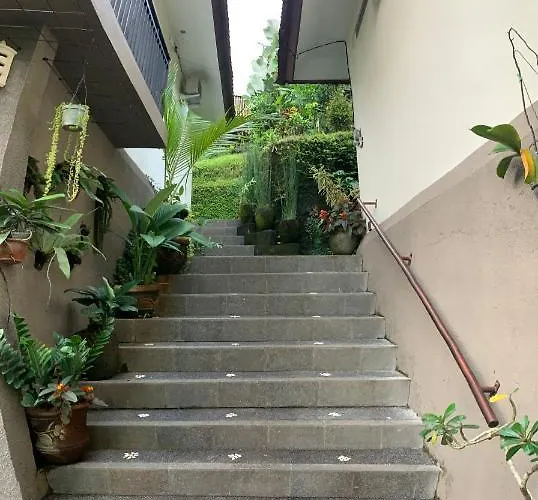 Gek House Bali ゲストハウス