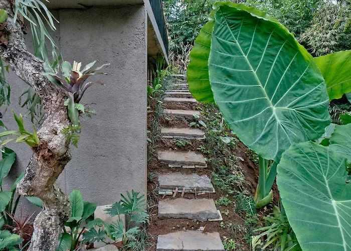 Gek House Bali ゲストハウス ウブド
